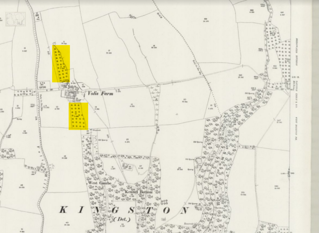 Detail from 1903 Ordnance Survey Map 25 in showing the Volis Farm orchards