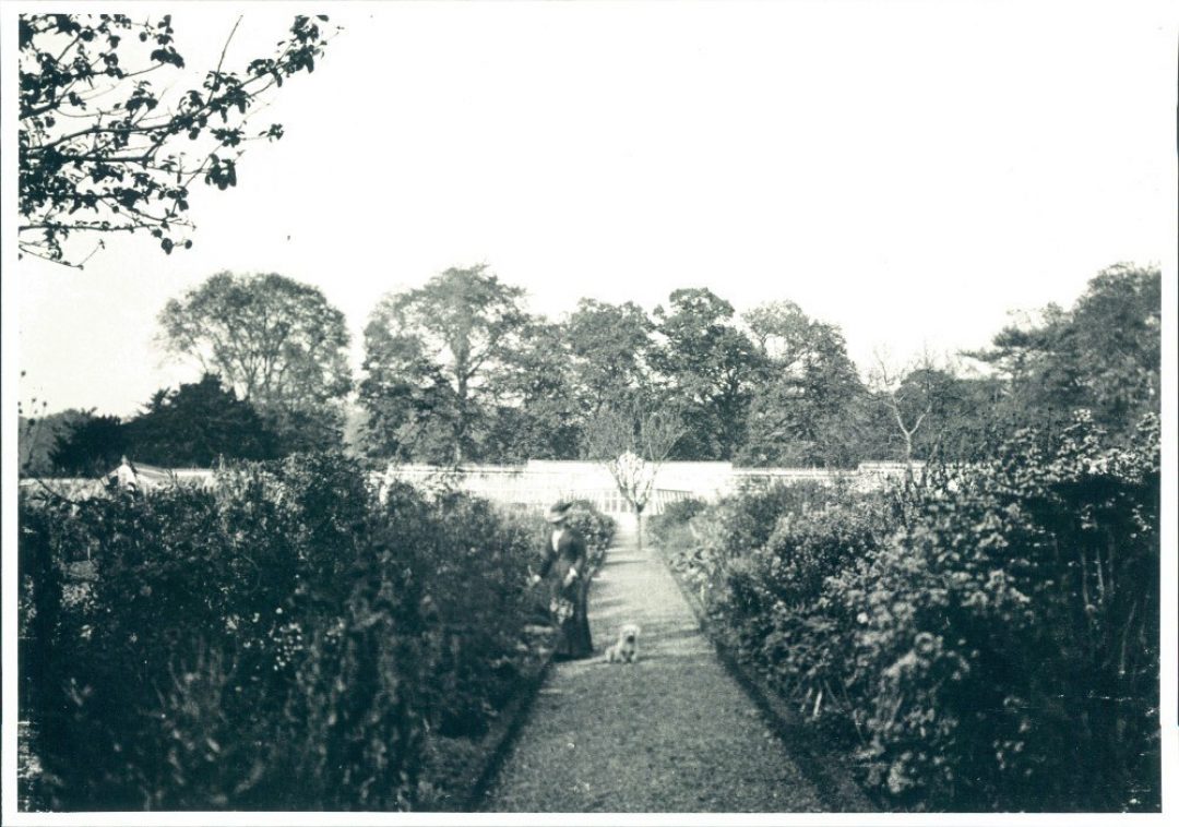 Fig 7 Kitchen Garden looking north along main axis 1904 from the archives kitchen garden