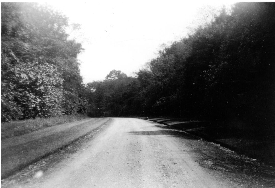 Fig 9 The immaculate Sandilands Drive c 1940