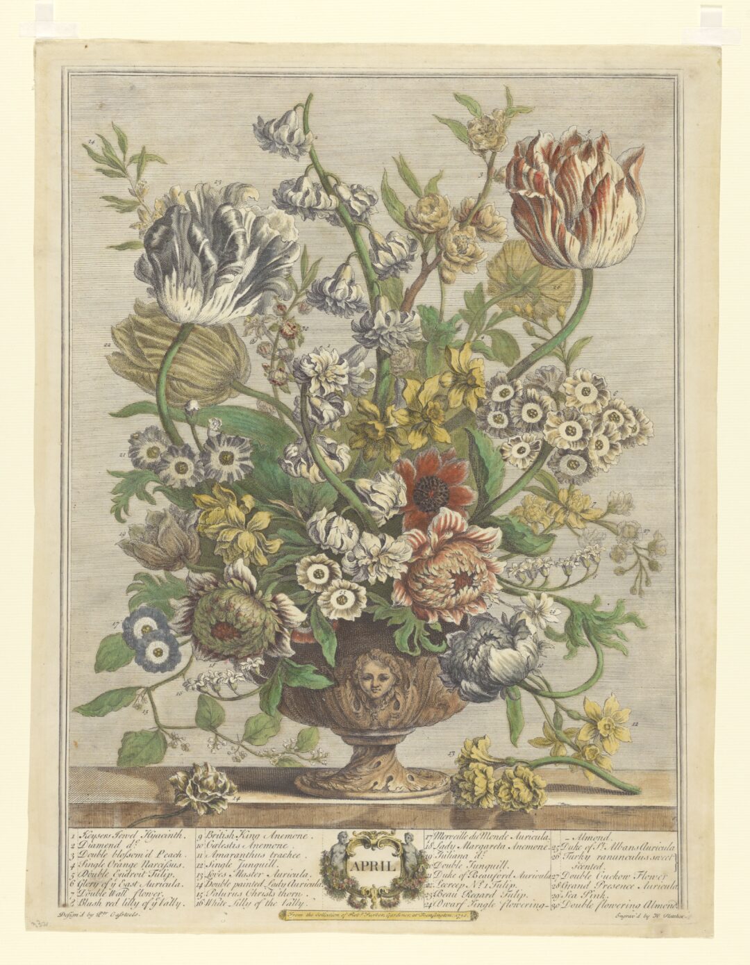 Fig 7 April from Robert Furbers Twelve Months of Flowers 1730