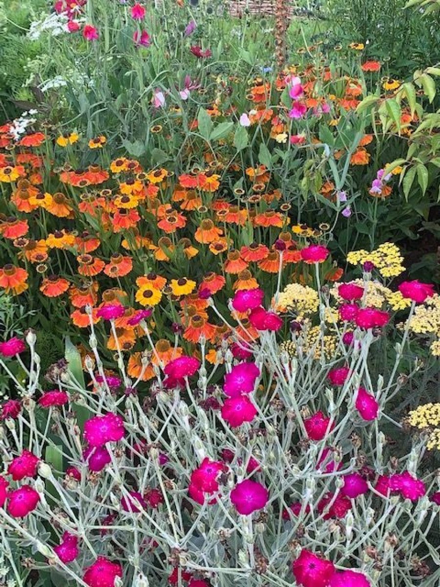 flower beds at Chateau Greenslade - Gardener Blogs: Starting New Flower Beds
