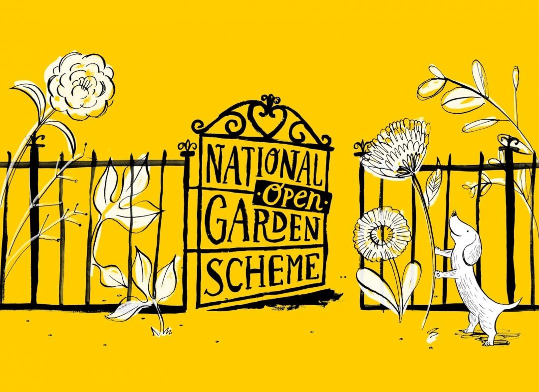 National Garden Scheme Open Days at Hestercombe Gardens