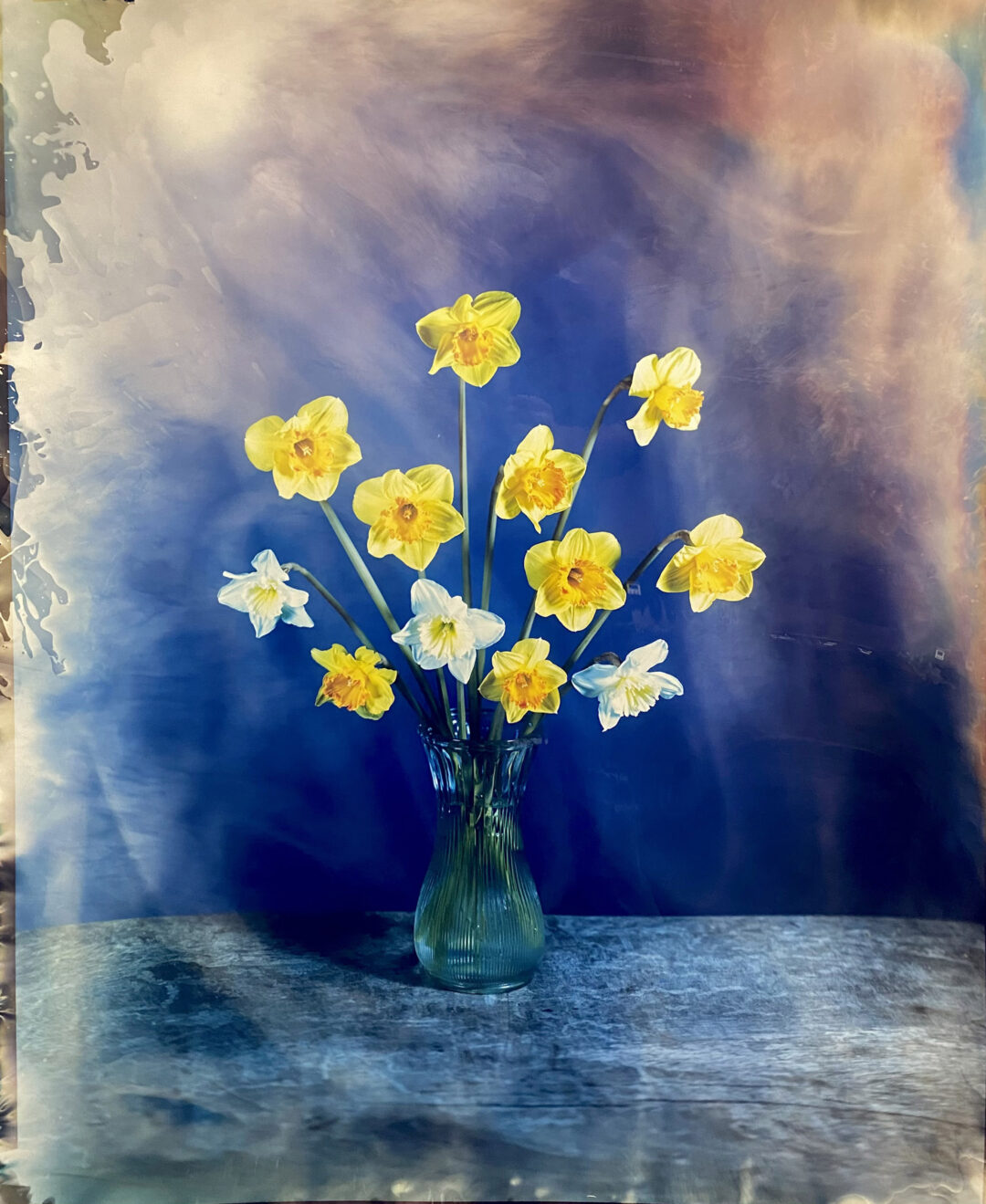 Brendan Barry Daffodils Unique Chromogenic photograph made using a Camera Obscura