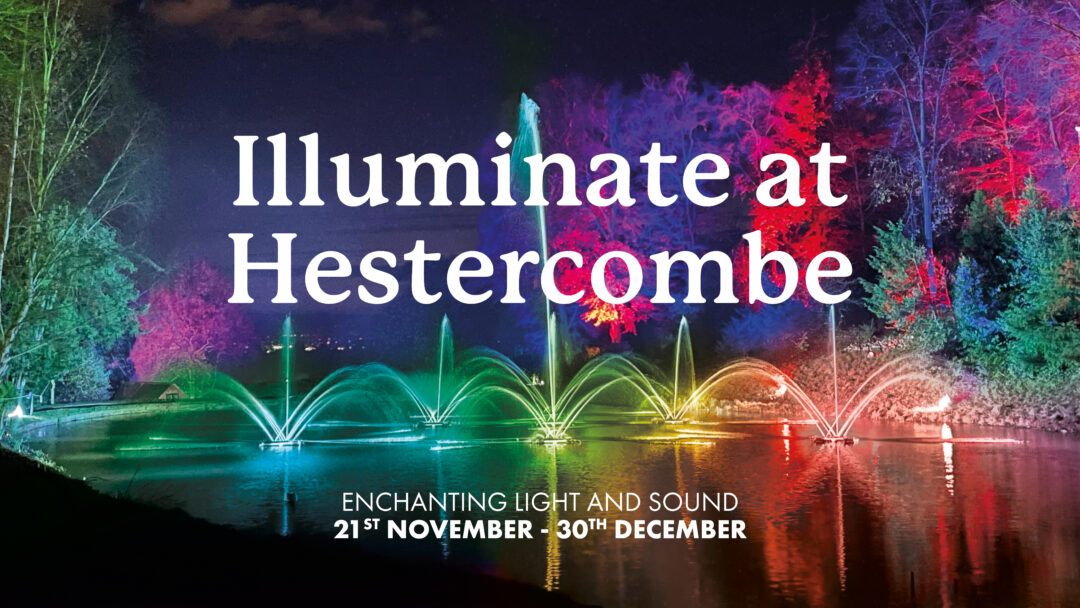 Hestercombe Illuminate24 Web Banner V1