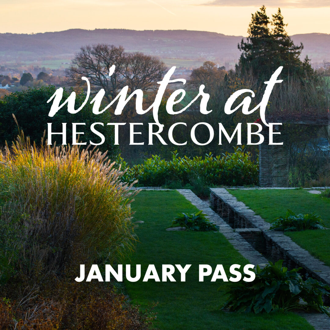 Hestercombe January Pass Social 02