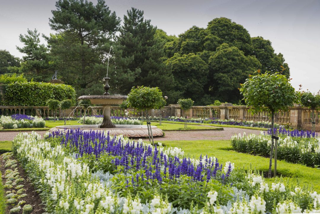 Somerset Gardens - Hestercombe