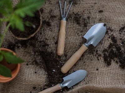 Generic gardening image